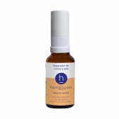 Homeopast  SPRAY REPARADOR 30ml